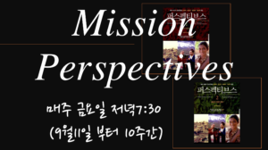 미션 퍼스펙티브